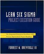 Lean Six Sigma Project Execution Guide Table of Contents