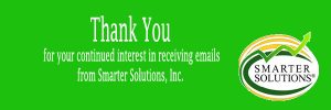 opt in Business Process Improvement Email