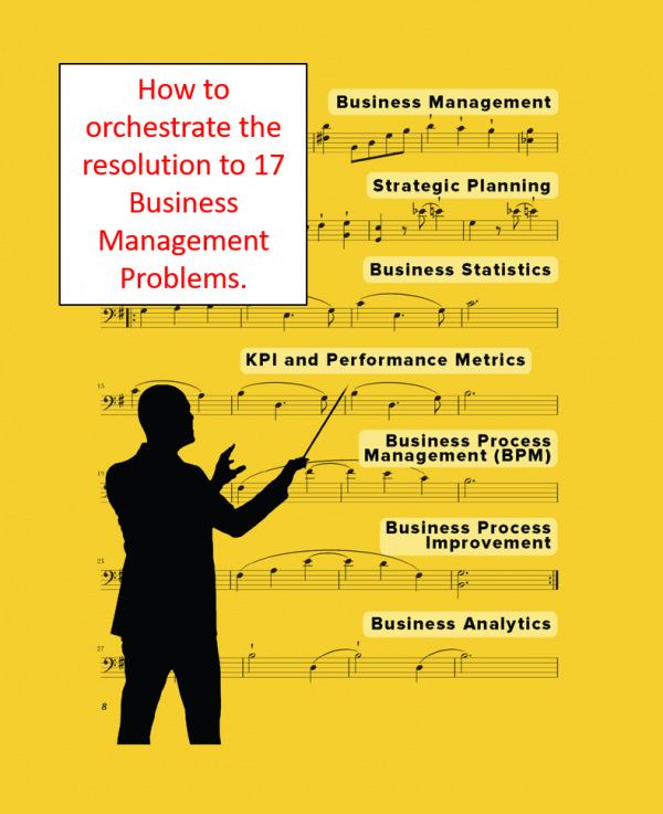 Management Issues 17 Business Management Problems and their Resolution