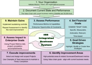 Lean Six Sigma Program IEE 9-step roadmap