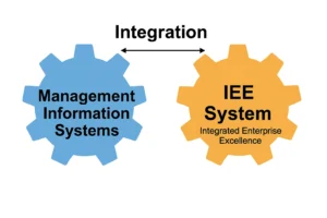 management information system